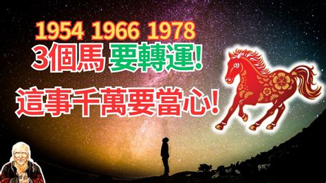 1978年屬馬運勢|五行揭秘：78年馬人財運